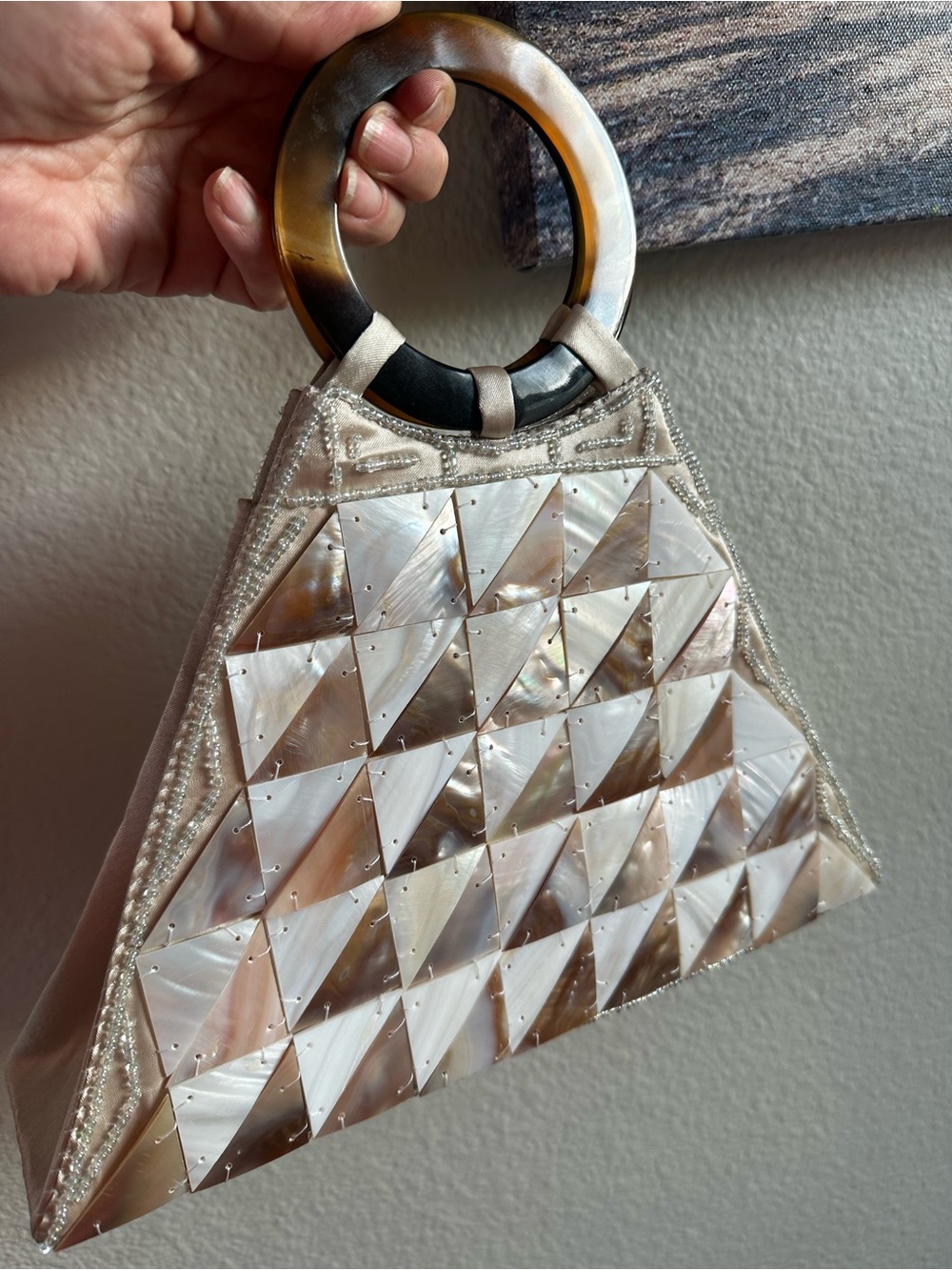 Mother of Pearl Shell Mosaic Evening Bag Tortoise Lucite Ring Handle